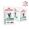 royal_canin diabetic natvoer volwassen kat suikerziekte hero image 10