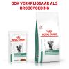 royal_canin diabetic natvoer volwassen kat suikerziekte hero mixed feeding