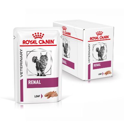 royal_canin renal natvoer portie volwassen kat ondersteuning nierfunctie hero image 8