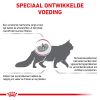 royal_canin renal special volwassen ondersteuning nierfunctie hero image 8