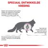 royal_canin mobility volwassen kat ondersteuning gewrichten hero image 8