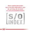 royal_canin mobility volwassen kat ondersteuning gewrichten hero image 9