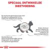 royal_canin gastrointestinal kitten tot 12 maanden kat spijsvertering hero image 8