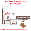 royal_canin gastrointestinal kitten tot 12 maanden kat spijsvertering hero mixed feeding