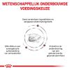 royal_canin gastrointestinal volwassen kat spijsverteringsproblemen hero image 9