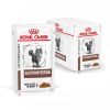 royal_canin gastrointestinal natvoer volwassen kat spijsverteringsproblemen hero image 9