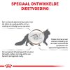 royal_canin gastrointestinal moderate calorie volwassen kat spijsverteringsproblemen hero image 8