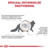 royal_canin gastrointestinal hairball volwassen kat haarballen hero image 8