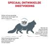 royal_canin skin coat volwassen kat vacht en huid hero image 10