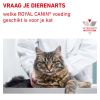 royal_canin skin coat volwassen kat vacht en huid hero image 8