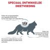 royal_canin anallergenic volwassen kat overgevoeligheid voedingsstoffen hero image 10
