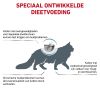 royal_canin hypoallergenic volwassen kat overgevoeligheid voedingsstoffen hero image 10
