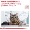 royal_canin hypoallergenic volwassen kat overgevoeligheid voedingsstoffen hero image 8