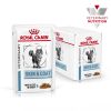 royal_canin skin coat natvoer volwassen kat vacht en huid hero image 10