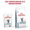 royal_canin skin coat natvoer volwassen kat vacht en huid hero mixed feeding