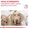 royal_canin cardiac volwassen hond ondersteuning hartfunctie hero image 10
