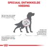 royal_canin cardiac volwassen hond ondersteuning hartfunctie hero image 8