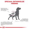 royal_canin early renal volwassen hond ondersteuning nierfunctie hero image 8