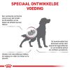royal_canin renal volwassen hond ondersteuning nierfunctie hero image 8