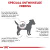 royal_canin renal small dogs volwassen hond tot 10kg ondersteuning nierfunctie hero image 8