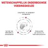 royal_canin renal select volwassen hond ondersteuning nierfunctie hero image 8