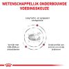 royal_canin renal special volwassen hond ondersteuning nierfunctie hero image 8