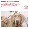 royal_canin urinary so small dog volwassen hond urinewegen blaasstenen hero image 8