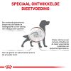 royal_canin gastrointestinal volwassen hond spijsverteringsproblemen hero image 8