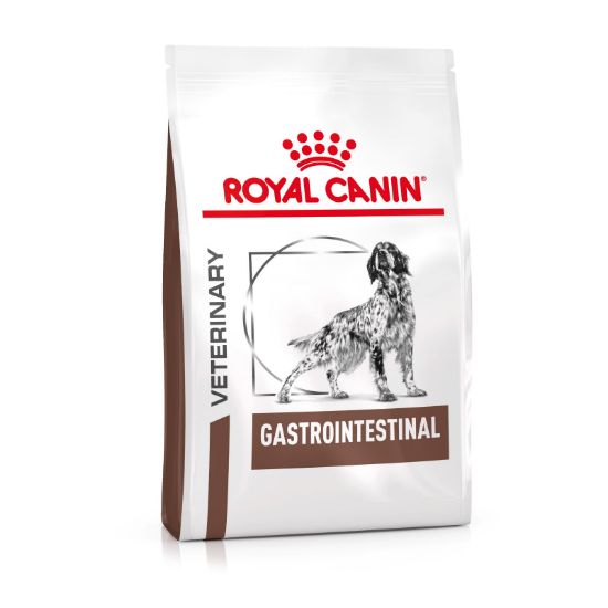 royal_canin gastrointestinal volwassen hond spijsverteringsproblemen hero packshot