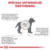 royal_canin gastrointestinal puppy pup hond spijsvertering hero image 8