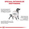 royal_canin gastrointestinal low fat volwassen hond spijsverteringsproblemen hero image 8