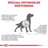 royal_canin hepatic volwassen hond ondersteuning leverfunctie hero image 8