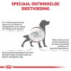 royal_canin gastrointestinal moderate calorie volwassen hond spijsverteringsproblemen hero image 8