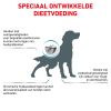 royal_canin anallergenic volwassen hond overgevoeligheid voedingsstoffen hero image 10