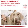 royal_canin anallergenic volwassen hond overgevoeligheid voedingsstoffen hero image 8