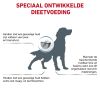 royal_canin skin care volwassen hond vacht en huid hero image 10