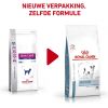 royal_canin skin care small dog volwassen hond vacht en huid hero pack change
