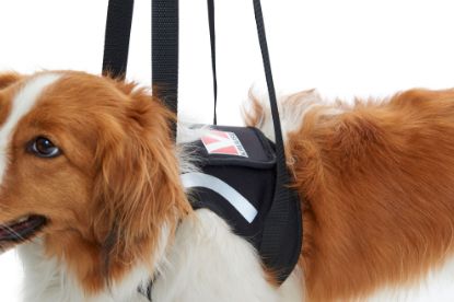 Afbeeldingen van REHAB Lifting Harness (Draagharnas Voorpoten)