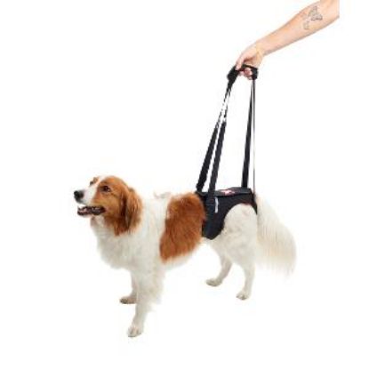 Afbeeldingen van REHAB Lifting Harness (Draagharnas Achterpoten)
