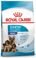 Afbeeldingen van Royal Canin Maxi Starter Mother & Babydog 4 kg