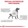 Afbeeldingen van Royal Canin Veterinary Gastrointestinal High Fibre Hondenvoer 12x 200g