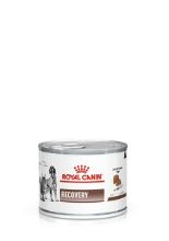 Afbeeldingen van Royal Canin Recovery KAT/HOND - NATVOER (12x195g)