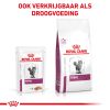 royal_canin renal natvoer portie volwassen kat ondersteuning nierfunctie hero mixed feeding