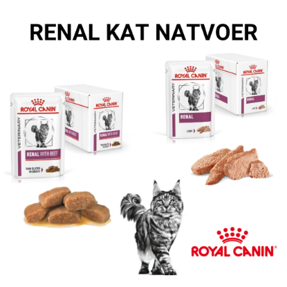 renal natvoer