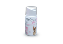 wecysto gel