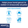 Afbeeldingen van Adaptil Calm - STARTERSET (Verdamper + 1 Navulling)