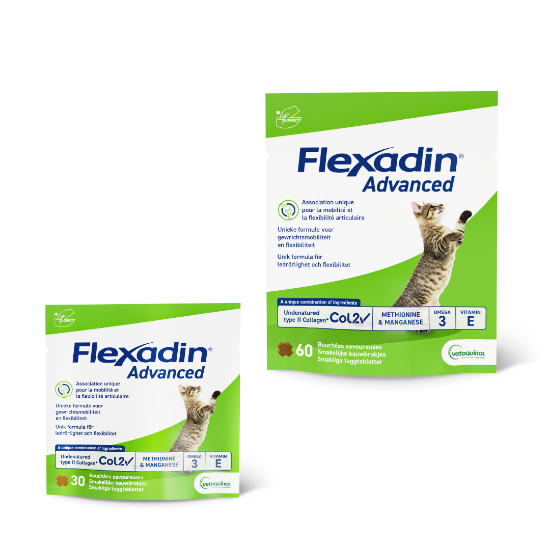 Afbeeldingen van Flexadin Advanced (kat )