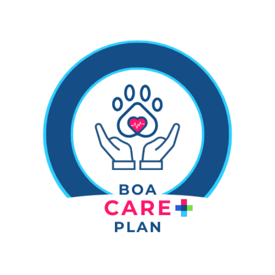 Afbeeldingen van BOA CARE PLAN - Gezondheidsplan Dierenartsenpraktijk Radius