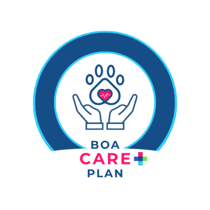 Afbeeldingen van BOA CARE PLAN - Gezondheidsplan Dierenartsenpraktijk Animali