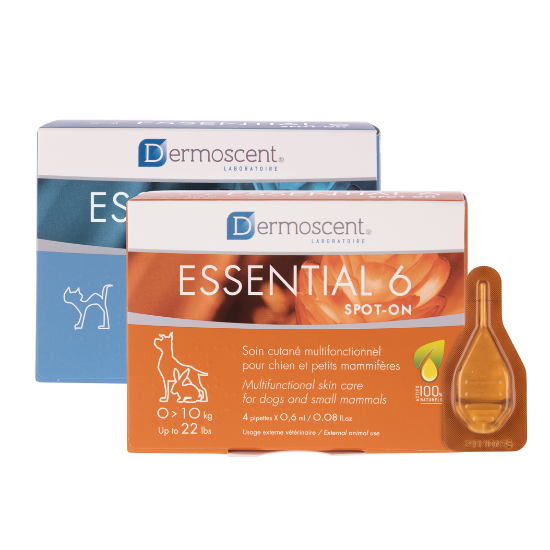 Afbeeldingen van Dermoscent Essential 6® spot-on - Huidverzorging